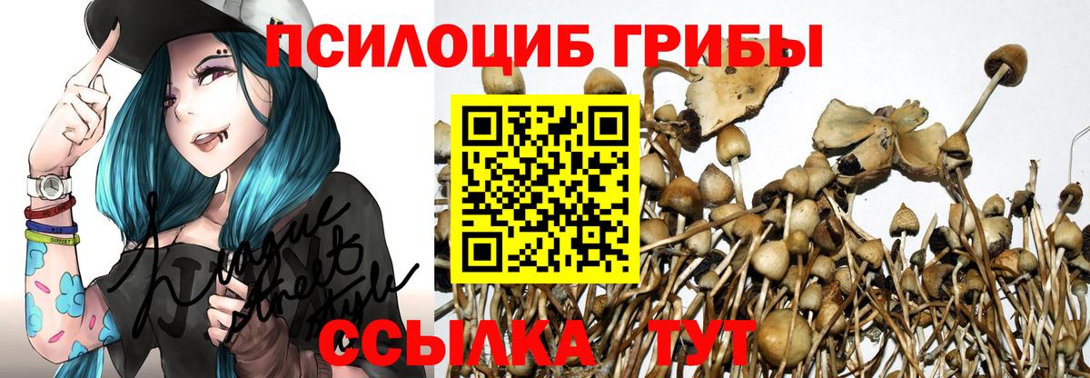 Архангельск  как найти закладки  Галлюциногенные грибы Cubensis  Вход с VPN  Псилоцибиновые грибы Psilocybine cubensis 